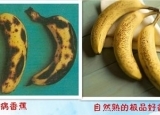香蕉有黑点能吃吗？有黑点的香蕉，一种是病一种是药