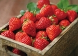 春季草莓千万别多吃 草莓吃多了易患3种疾病