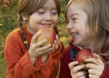 吃苹果常识 3种颜色苹果养生功效不一样