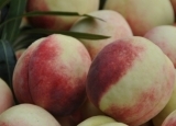 桃子这么吃有助预防乳腺癌 这些水果能预防乳腺癌