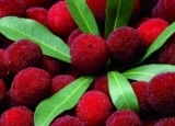 四“莓”水果养生功效大不同