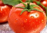 物美价廉的防癌高手  竟然是它“西红柿”