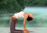 练这些瑜伽拉伸动作 能让你长高！